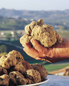 Tartufo